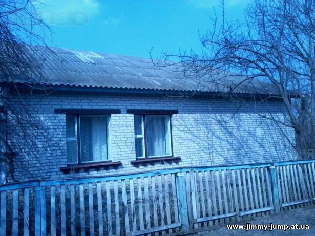 Продам будинок в селі Годунівка